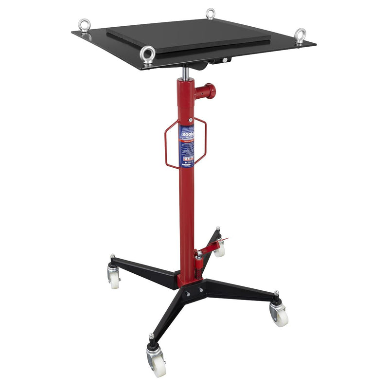 Vertical Transmission Jack 300kg