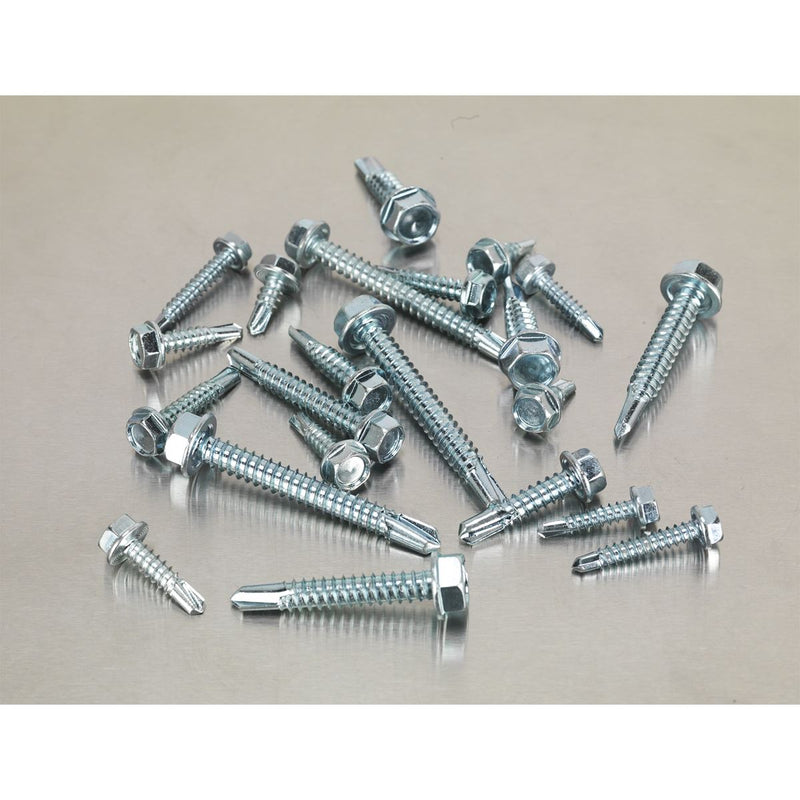 Self-Drilling Screw Assortment 410pc Hex Head Zinc