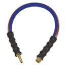 Sealey Air Leader Hose with Tailpiece & 1/4"BSP Union 600mm x 8mm AH2R