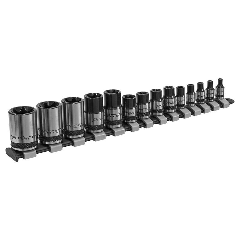 TRX-Star* Socket Set 14pc 1/4", 3/8" & 1/2"Sq Drive E4-E24 - Premier Black