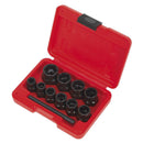 Sealey Spanner Type Bolt Extractor Set 3/8"Sq Drive 11pc AK8184