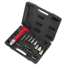 Sealey Premier Interchangeable Punch & Chisel Set 13pc AK9215