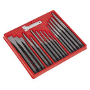 Sealey Premier Punch & Chisel Set 16pc AK9216