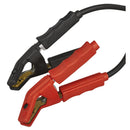 Sealey 12V Battery Support Unit & Charger 100A BSCU170