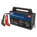 Sealey 12V Battery Support Unit & Charger 100A BSCU170