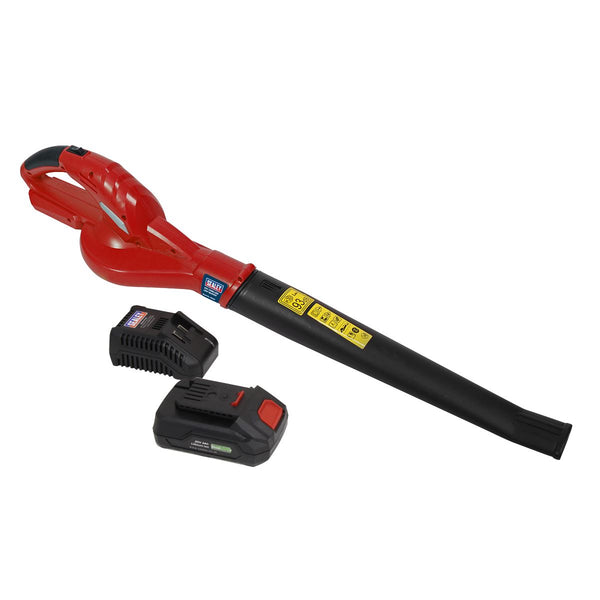 Leaf Blower Cordless 20V SV20 Series with 2Ah Battery & Charger