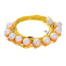 Defender Festoon String Light Kit 50w 22m Encapsulated ES LED 110v 4000 Lumens