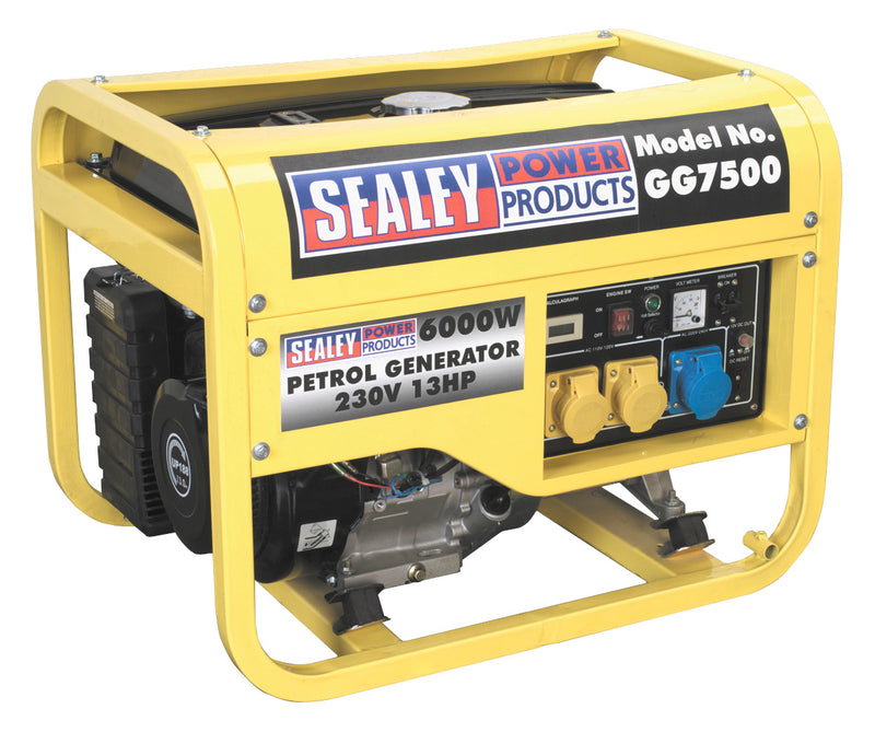 Generator 6000W 110/230V 13hp