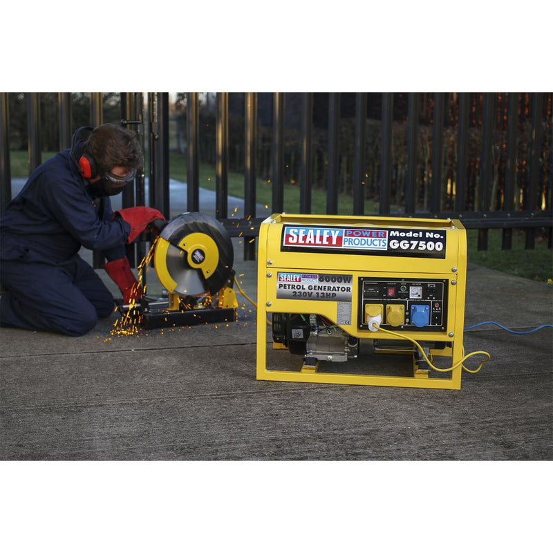 Generator 6000W 110/230V 13hp