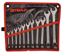 11PC SPANNER SET METRIC COMBINATION WRENCH IN CASE 6-19MM DROP FORGED K0400
