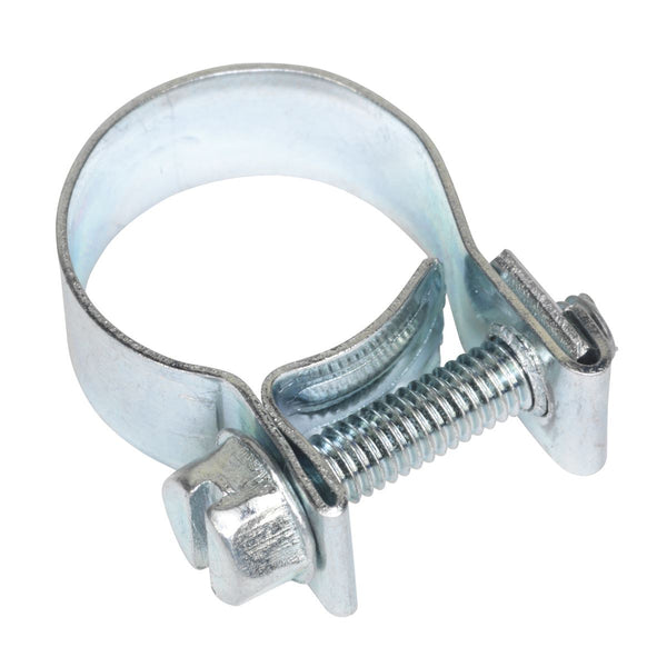 Mini Hose Clip �15-17mm Pack of 20