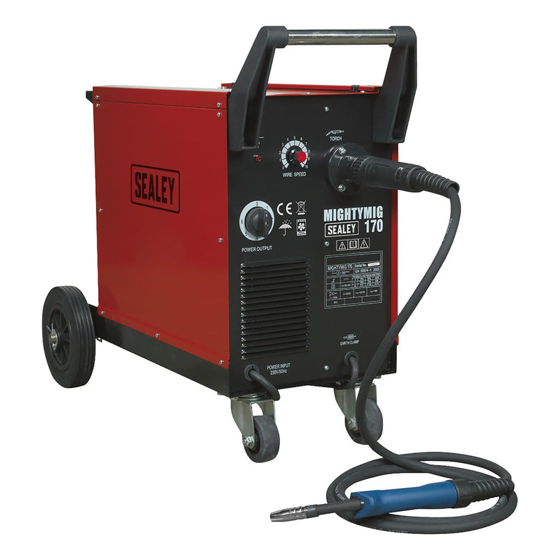 Professional Gas/Gasless MIG Welder 170A with Euro Torch