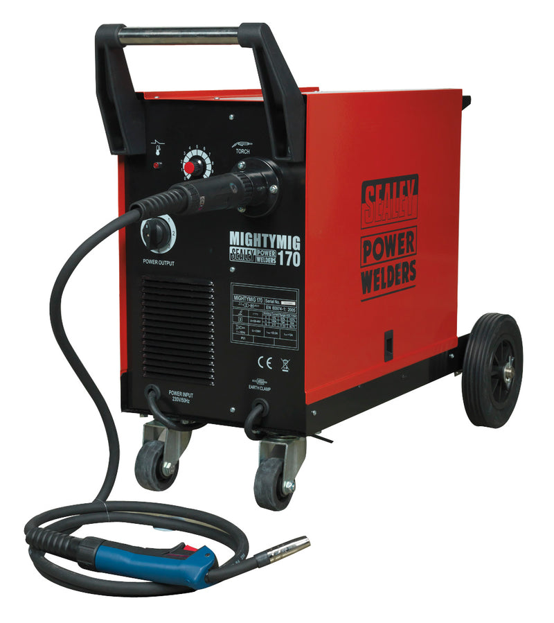 Professional Gas/Gasless MIG Welder 170A with Euro Torch