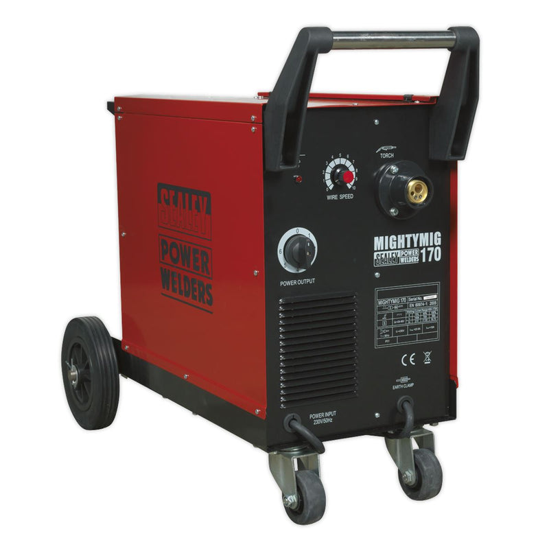 Professional Gas/Gasless MIG Welder 170A with Euro Torch