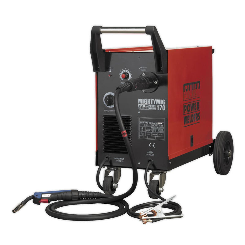 Professional Gas/Gasless MIG Welder 170A with Euro Torch