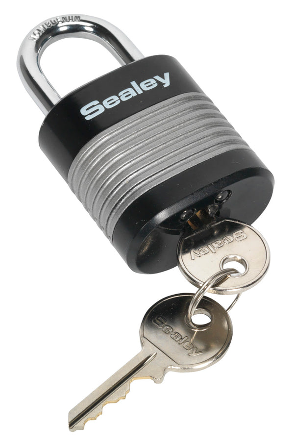 Zinc Coated Steel Body Padlock 44mm