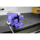 Sealey Quick Action SG Iron Vice with Swivel Base 100mm QAVE100