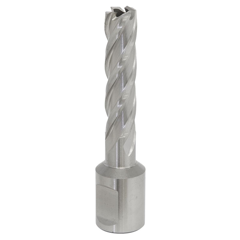 Mag Drill Bit HSS �12mm - Cut Depth 50mm