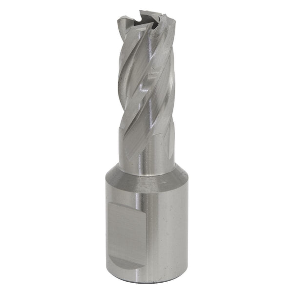 Mag Drill Bit HSS �12mm - Cut Depth 25mm