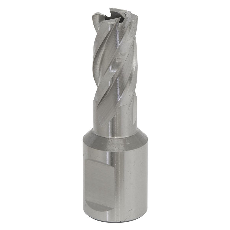 Mag Drill Bit HSS �14mm - Cut Depth 25mm