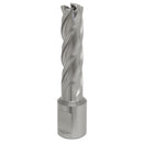 Sealey Worksafe&reg; 15mm HSS Mag Drill Bit Cut Depth 50mm RBHSS15L
