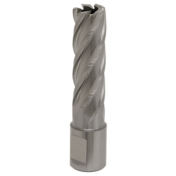 Mag Drill Bit HSS �17mm - Cut Depth 50mm