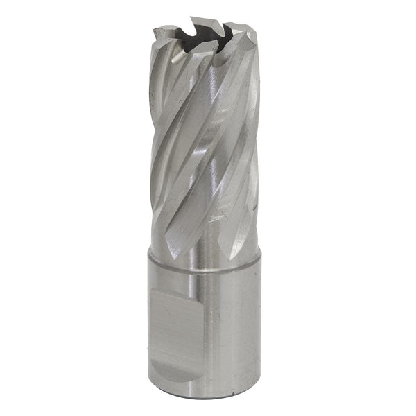 Mag Drill Bit HSS �17mm - Cut Depth 25mm