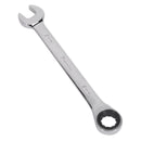 Sealey Premier Combination Ratchet Spanner 19mm RCW19