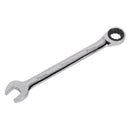 Sealey Premier Combination Ratchet Spanner 19mm RCW19