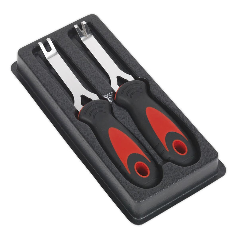 Trim Tool Set 2pc