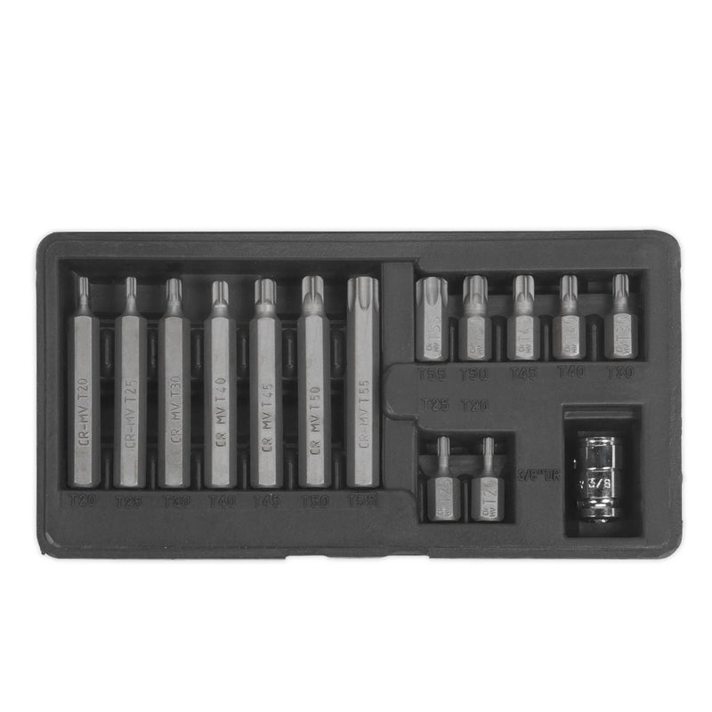 TRX-Star* Bit & Holder Set 15pc - Metric