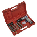 Sealey Air Hammer with Chisels Long Stroke Air Hammer Air Chisel In Case SA11