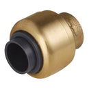 Sealey SharkBite&reg; Line End Plug 15mm SBA15P