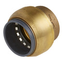 Sealey SharkBite&reg; Line End Plug 22mm SBA22P