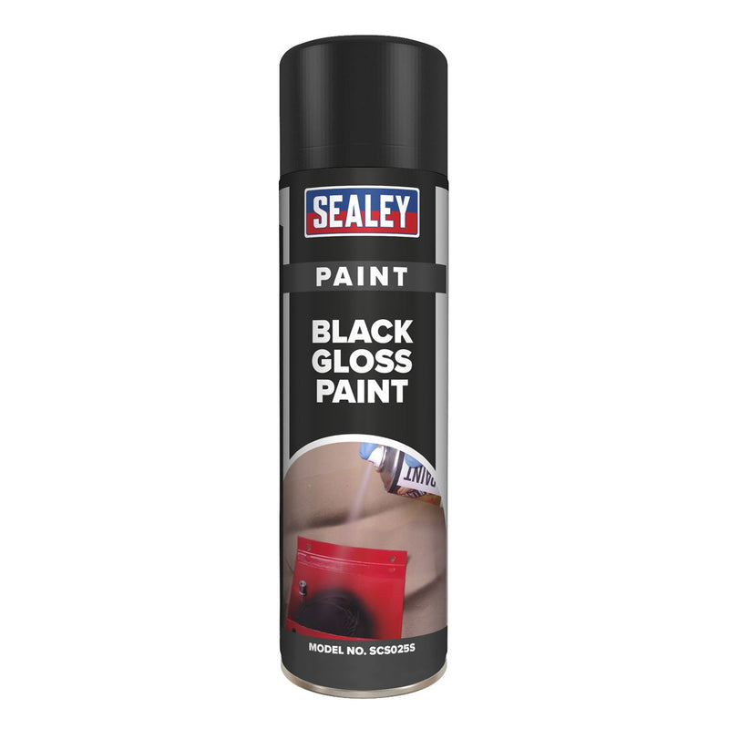 Black Gloss Paint 500ml