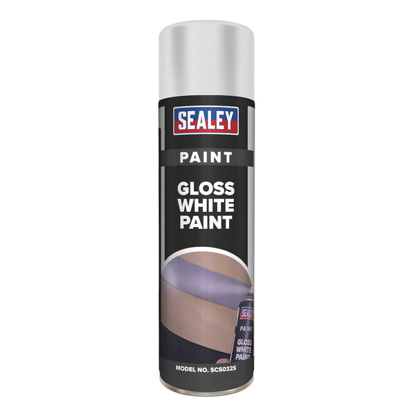 White Gloss Paint 500ml