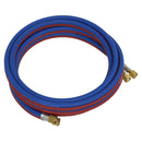 Sealey Oxyacetylene Twin Rubber Hose Set 5m SGA5