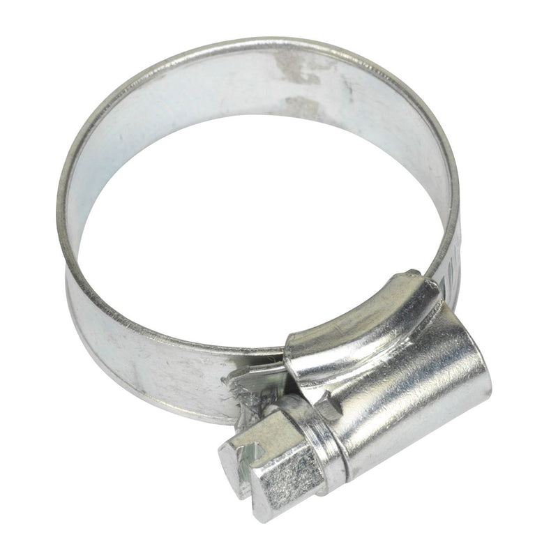 Hose Clip Zinc Plated �19-29mm Pack of 20