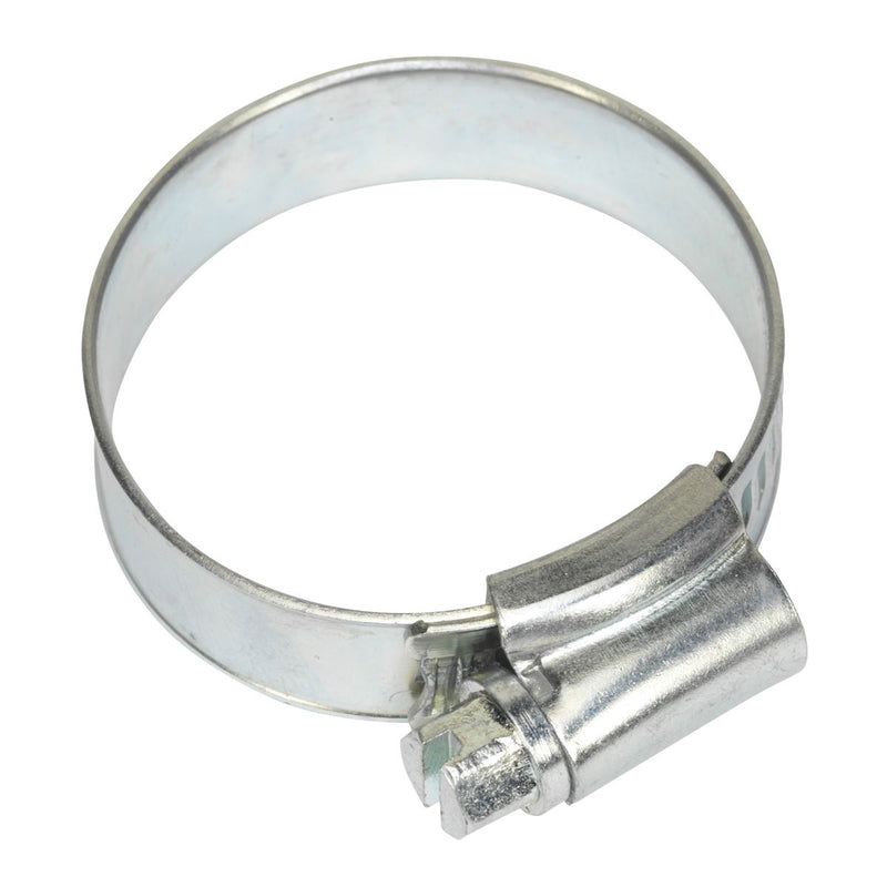 Hose Clip Zinc Plated �25-38mm Pack of 20