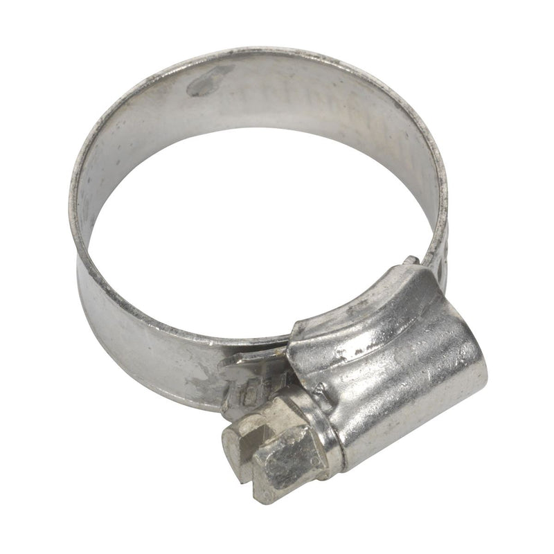 Hose Clip Stainless Steel �16-27mm Pack of 10