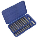 Sealey Premier Ribe Bit Set 3/8" & 1/2"Sq Drive 22pc SX105