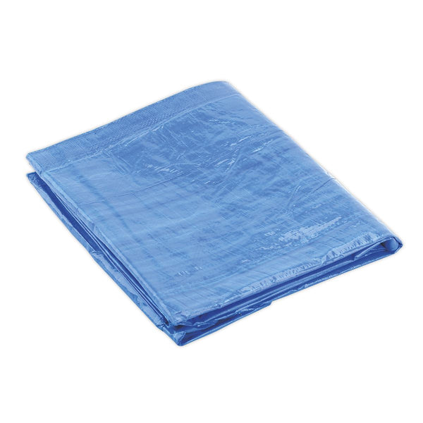 Tarpaulin 5.49 x 7.32m Blue