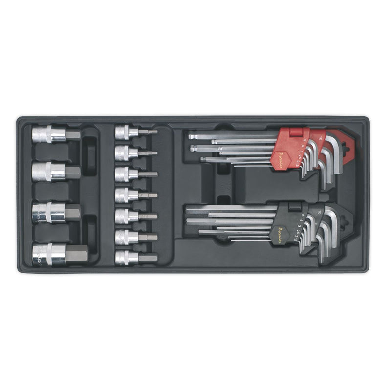 Tool Tray with Hex/Ball-End Hex Keys & Socket Bit Set 29pc