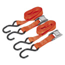 Sealey Cam Buckle Strap Polyester Webbing with S-Hooks 25mm x 2.5m 500kg Breaking Strength TD05025CS