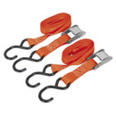 Sealey Cam Buckle Strap Polyester Webbing with S-Hooks 25mm x 2.5m 250kg Breaking Strength TD2525CS