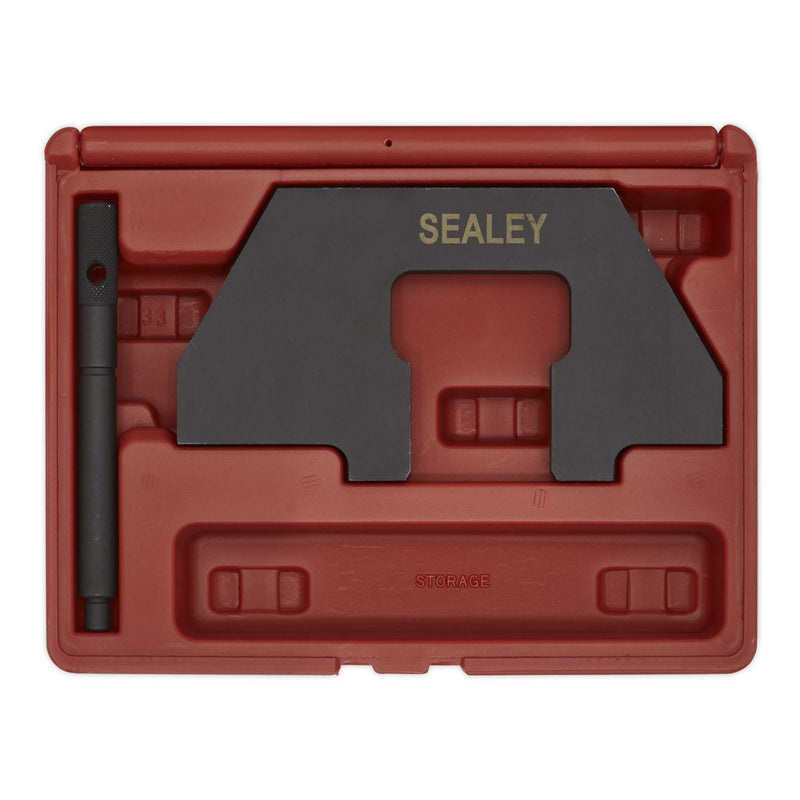 Sealey Petrol Engine Timing Tool Kit - for BMW 1.6, 1.8, 1.9 SOHC M43 - Chain Drive VSE118