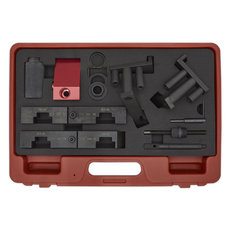 Sealey Petrol Engine Timing Tool Kit - for BMW, Land Rover, Morgan - Chain Drive VSE5555