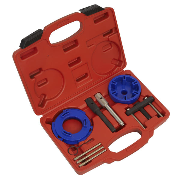 Sealey Timing Tool & Fuel Injection Pump Kit - Ford, PSA, LDV VSE6940