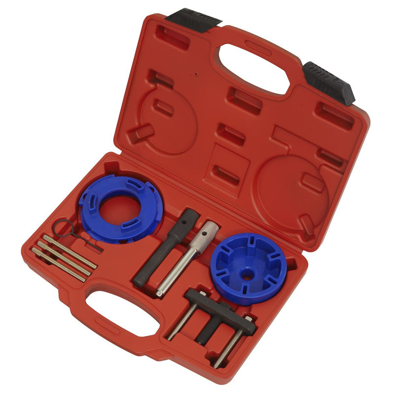 Sealey Timing Tool & Fuel Injection Pump Kit - Ford, PSA, LDV VSE6940