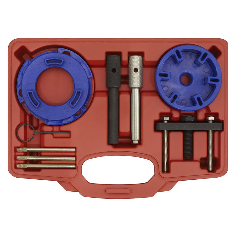 Sealey Timing Tool & Fuel Injection Pump Kit - Ford, PSA, LDV VSE6940